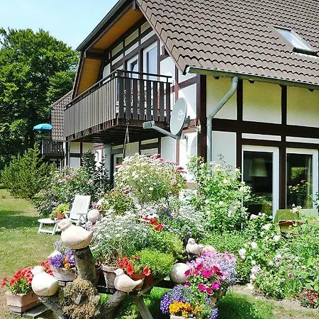 Holiday Flat - Dmg01013-p *